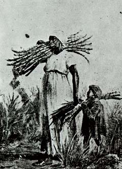 Miguel Barnet - Kubanische Sklavin mit Zuckerrohr
